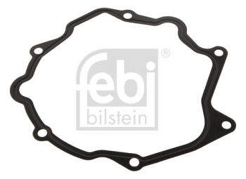 Vacuum Pump Gasket