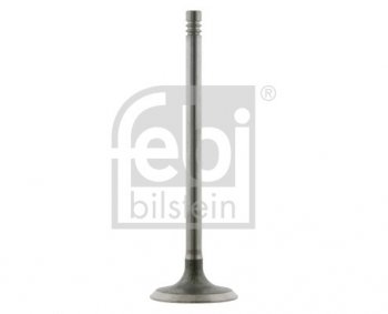 Engine Intake Valve