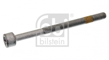 Fuel Injector Rail Bolt