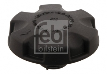 Radiator Cap