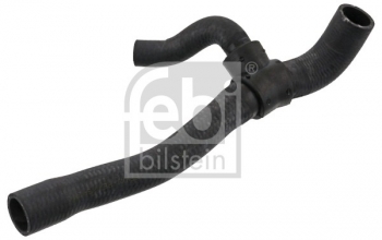 Radiator Coolant Hose