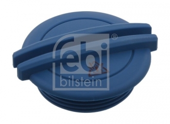 Radiator Cap