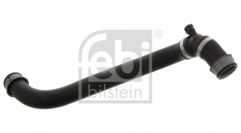 Radiator Coolant Hose