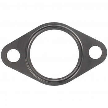 Engine Water Pump Gasket
