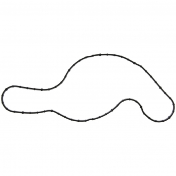 Engine Water Pump Gasket
