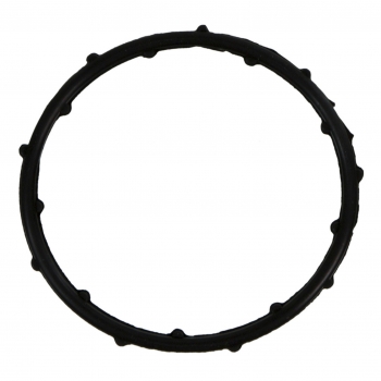 Engine Coolant Thermostat Seal