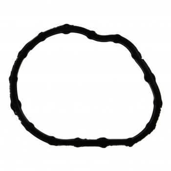 Engine Coolant Outlet Seal