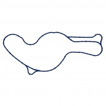 Engine Water Pump Gasket