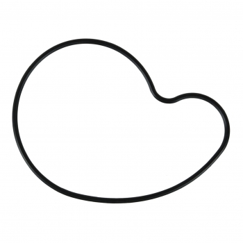 Engine Water Pump Gasket