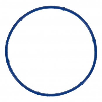 Fuel Injection Throttle Body Mounting Gasket