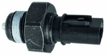 Back Up Light Switch
