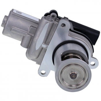 Exhaust Gas Recirculation (EGR) Valve