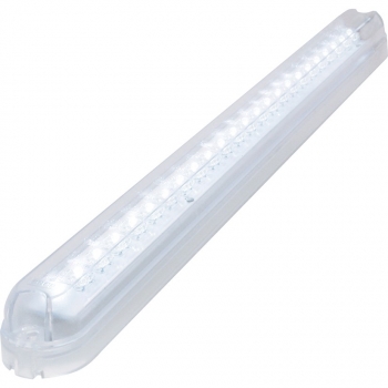 Courtesy Light