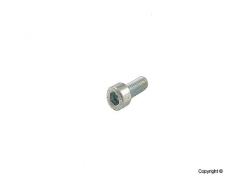 Engine Oil Pan Bolt