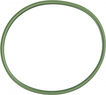 Fuel Filter O-Ring