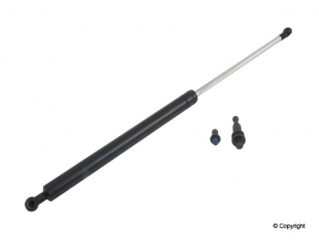 Hood Lift Support