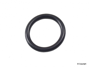 Fuel Filter O-Ring