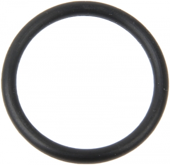 Engine Coolant Pipe O-Ring