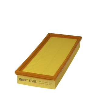Engine Air Filter