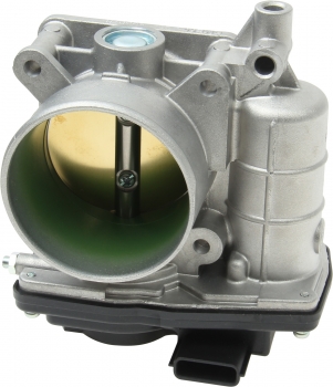 Fuel Injection Throttle Body