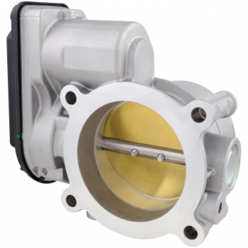 Fuel Injection Throttle Body