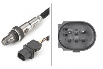 Oxygen Sensor