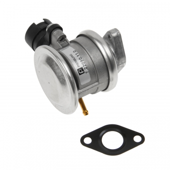 Exhaust Gas Recirculation (EGR) Valve