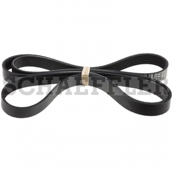 Serpentine Belt