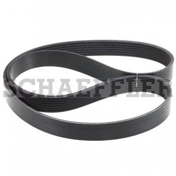 Serpentine Belt