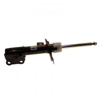 Suspension Strut