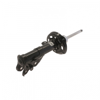 Suspension Strut
