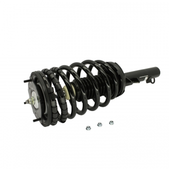 Suspension Strut and Coil Spring Assembly