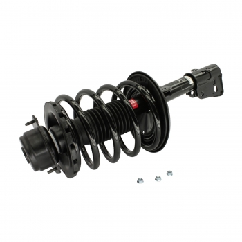 Suspension Strut and Coil Spring Assembly