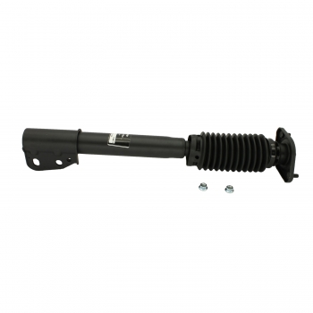 Suspension Strut and Coil Spring Assembly