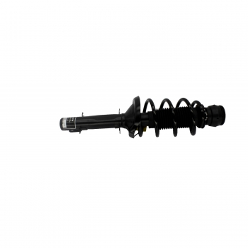 Suspension Strut and Coil Spring Assembly