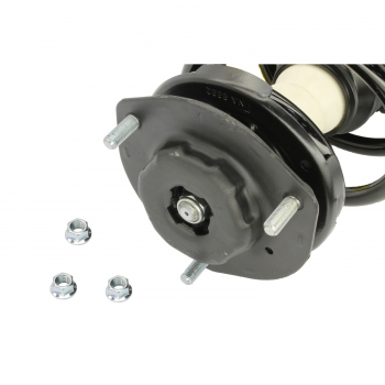 Suspension Strut and Coil Spring Assembly