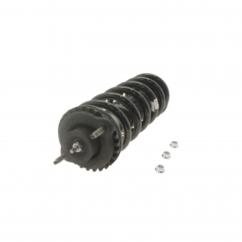 Suspension Strut and Coil Spring Assembly