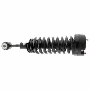 Suspension Strut and Coil Spring Assembly