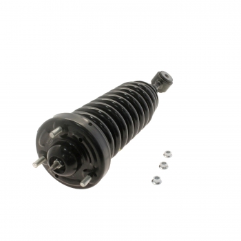 Suspension Strut and Coil Spring Assembly