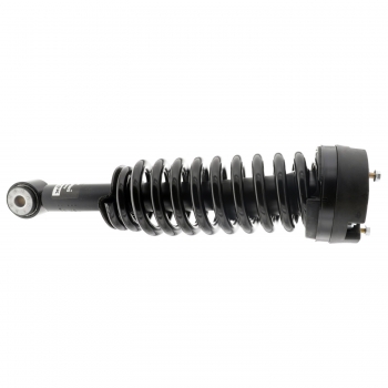 Suspension Strut and Coil Spring Assembly