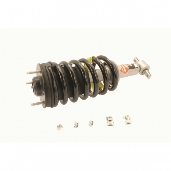 Suspension Strut and Coil Spring Assembly