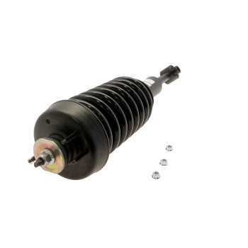 Suspension Strut and Coil Spring Assembly