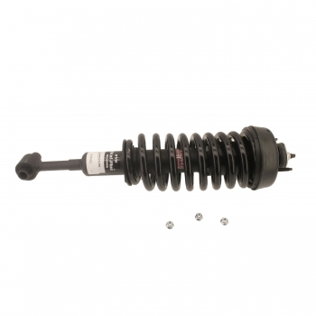 Suspension Strut and Coil Spring Assembly