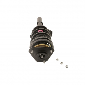 Suspension Strut and Coil Spring Assembly
