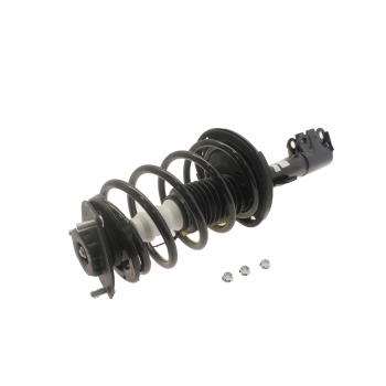 Suspension Strut and Coil Spring Assembly