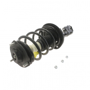 Suspension Strut and Coil Spring Assembly