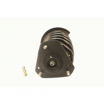 Suspension Strut and Coil Spring Assembly