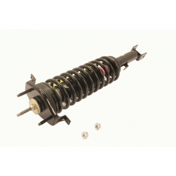 Suspension Strut and Coil Spring Assembly