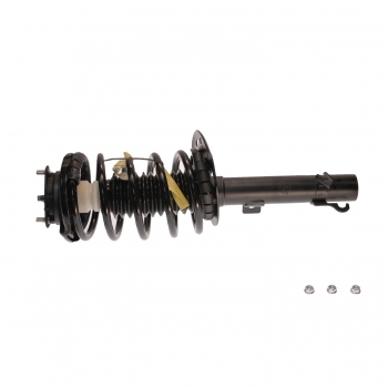 Suspension Strut and Coil Spring Assembly