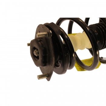Suspension Strut and Coil Spring Assembly